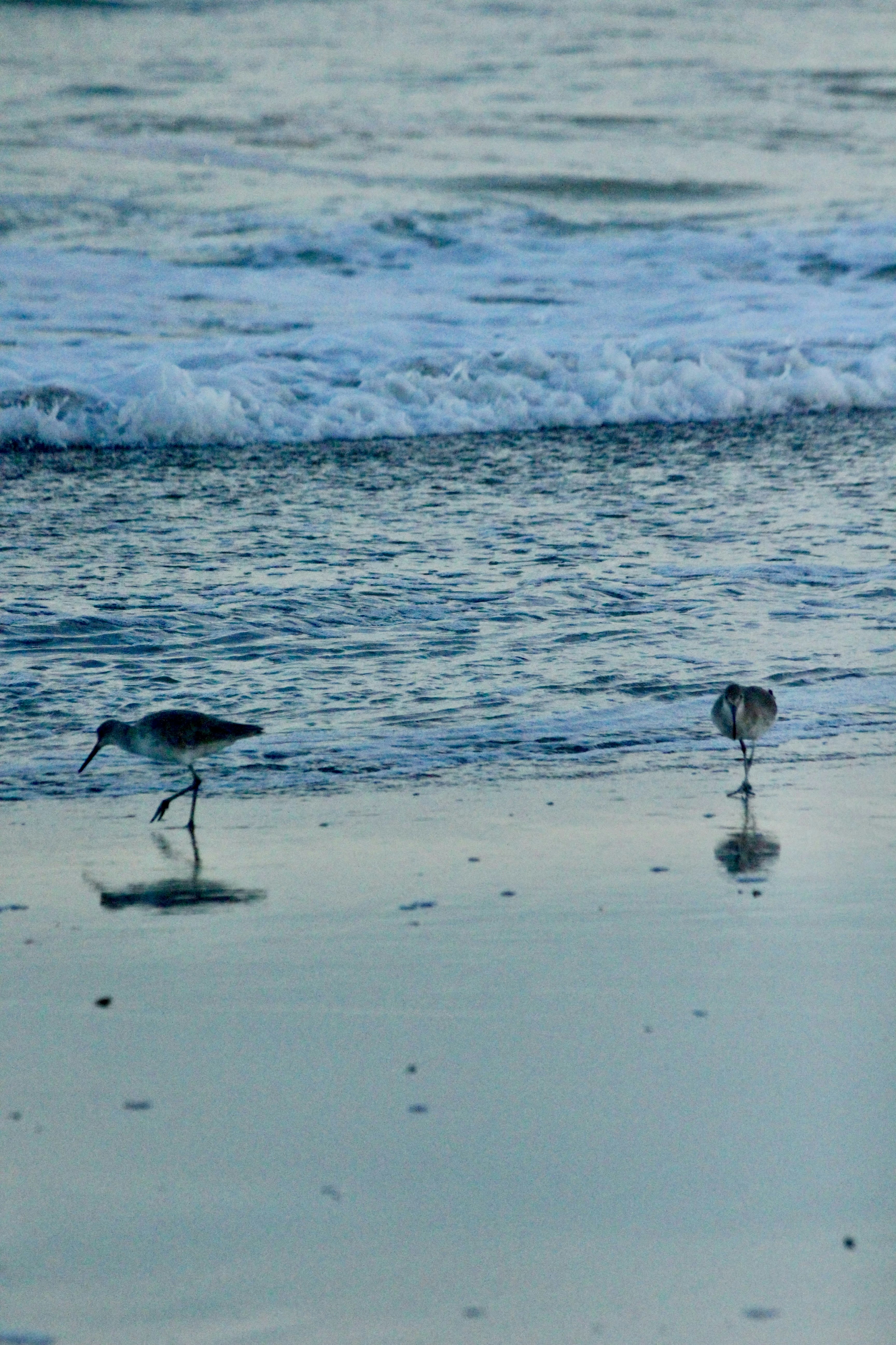 Photo by maxwhitakerr