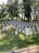 Rows of white tombstones are aligned on a gently sloping green grassy hill. Tall trees with lush green leaves provide a backdrop, casting some shadows on the ground. The scene is peaceful and orderly, typical of a military cemetery.