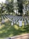 Rows of white tombstones are aligned on a gently sloping green grassy hill. Tall trees with lush green leaves provide a backdrop, casting some shadows on the ground. The scene is peaceful and orderly, typical of a military cemetery.