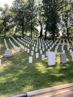 Rows of white tombstones are aligned on a gently sloping green grassy hill. Tall trees with lush green leaves provide a backdrop, casting some shadows on the ground. The scene is peaceful and orderly, typical of a military cemetery.