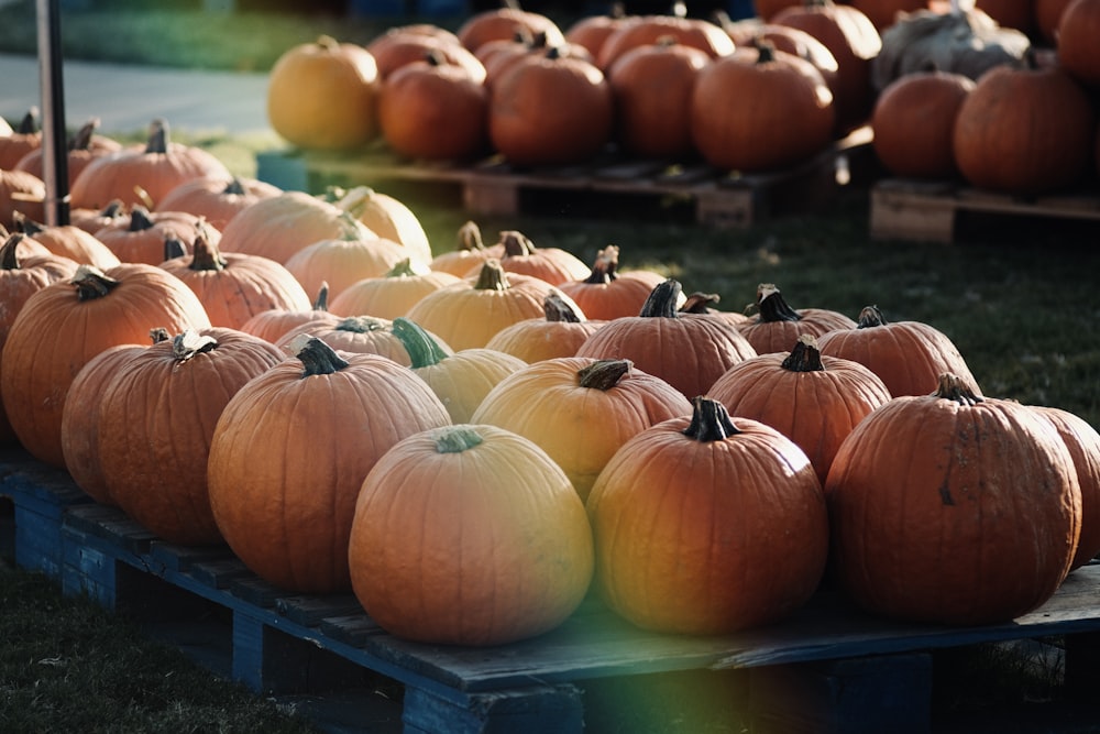 a row of pumpkins sitting on top of a wooden pallet