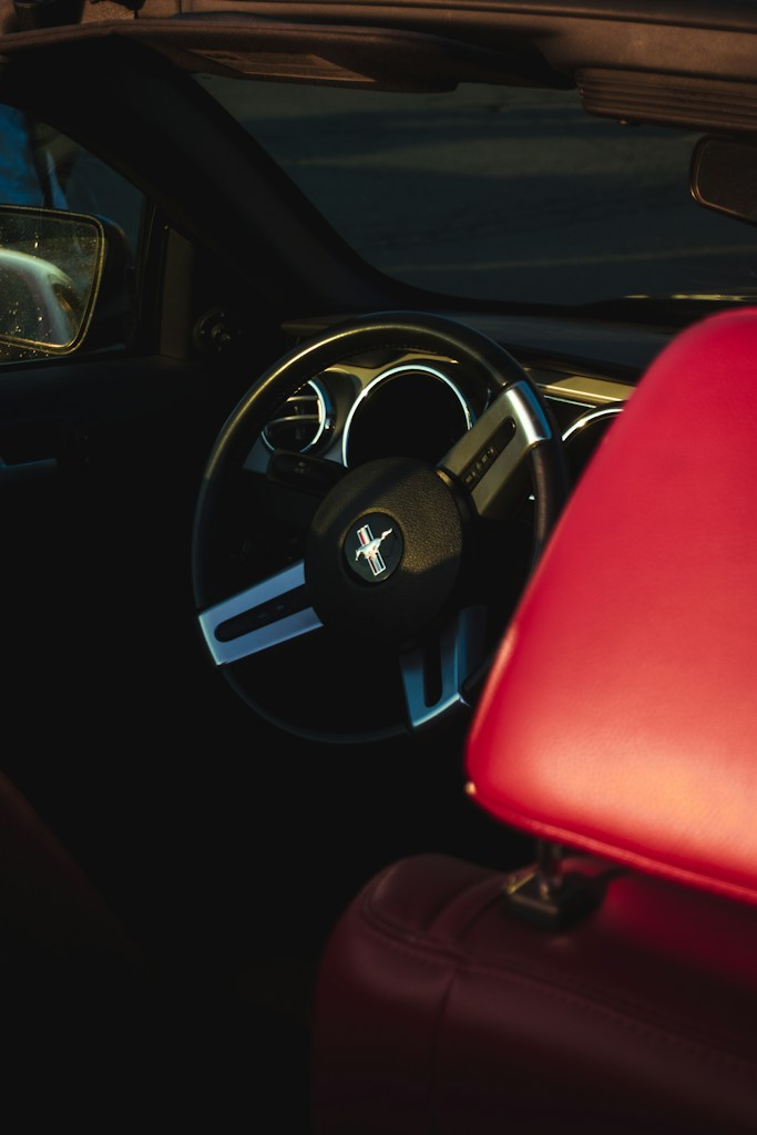 Leather Steering Cover