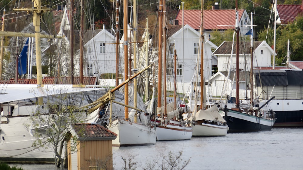 a group of sailboats docked in a harbor