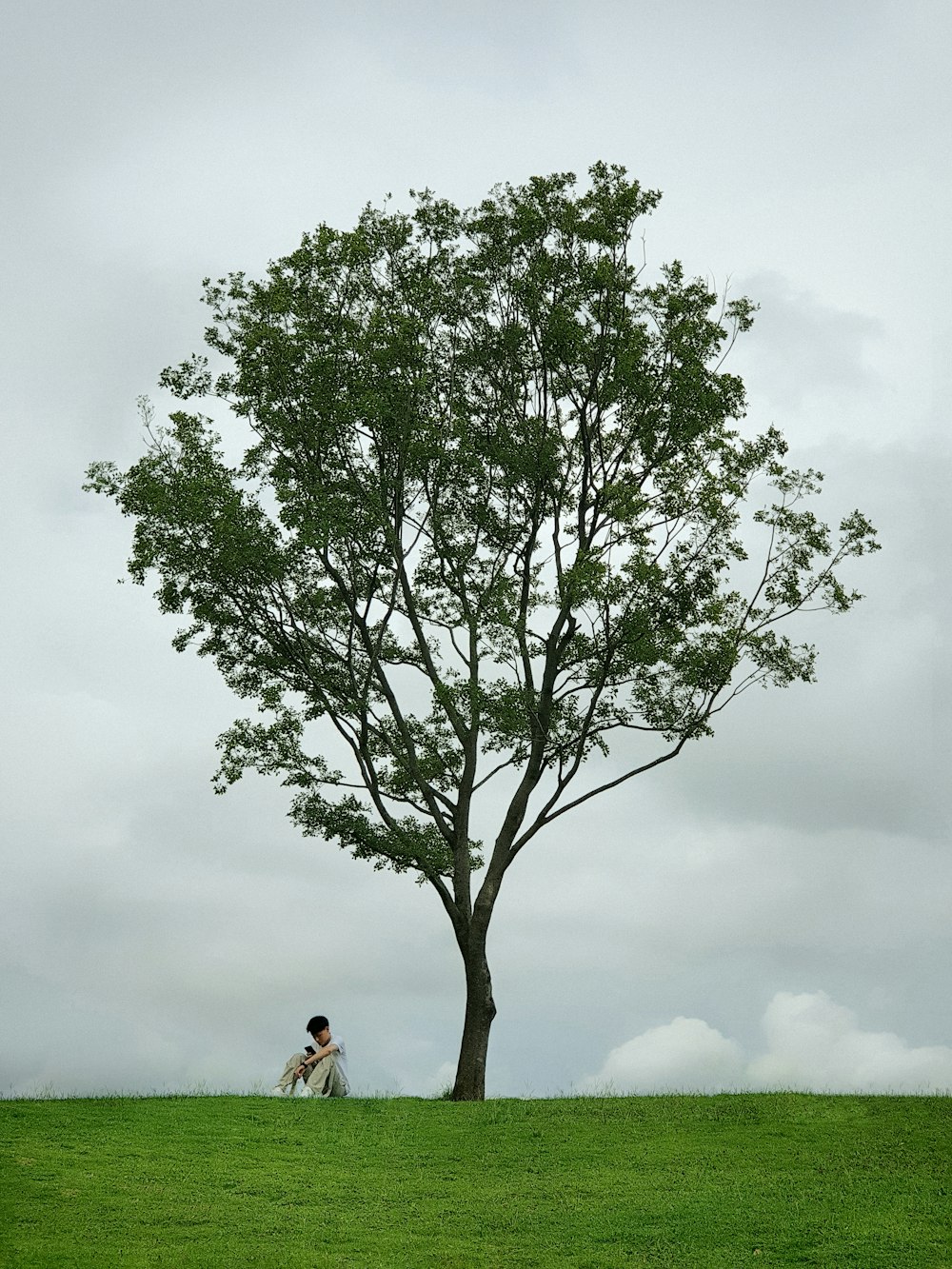 two people sitting under a tree in a field