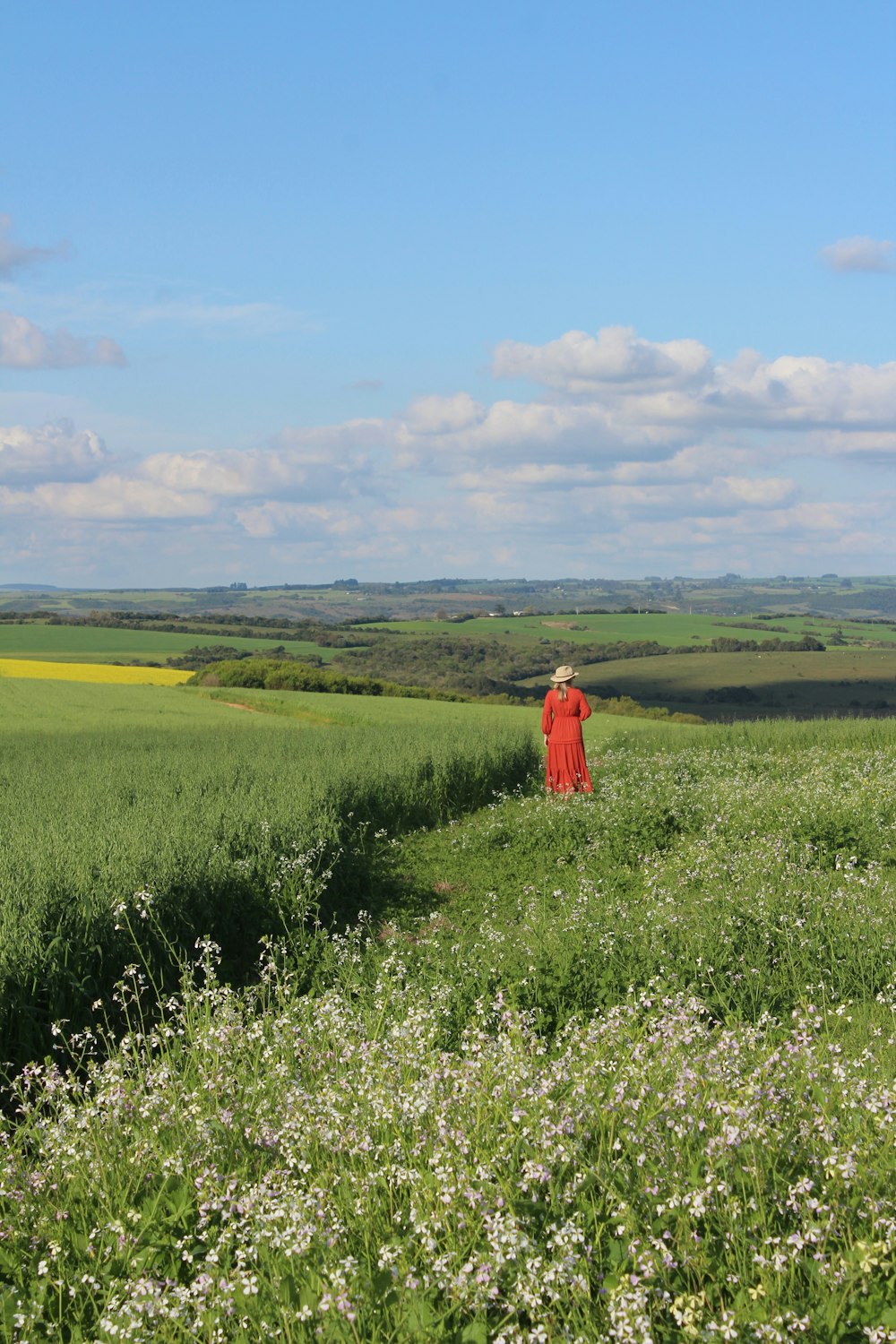 a man in a red jacket standing in a field
