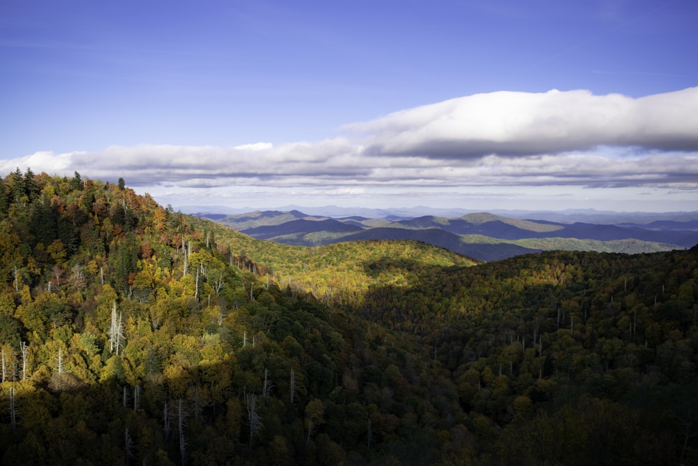 a scenic view of a forest with mountains in the background