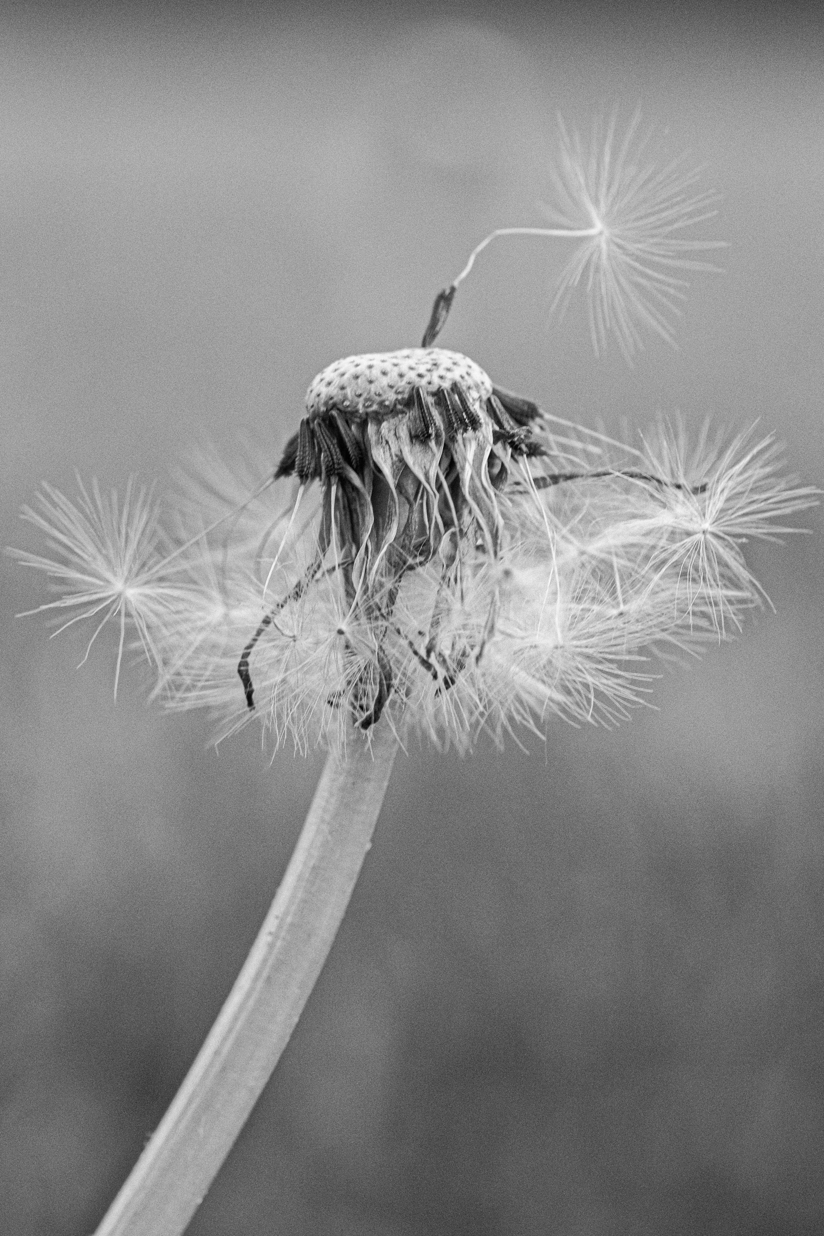 Photo by davidsfocus