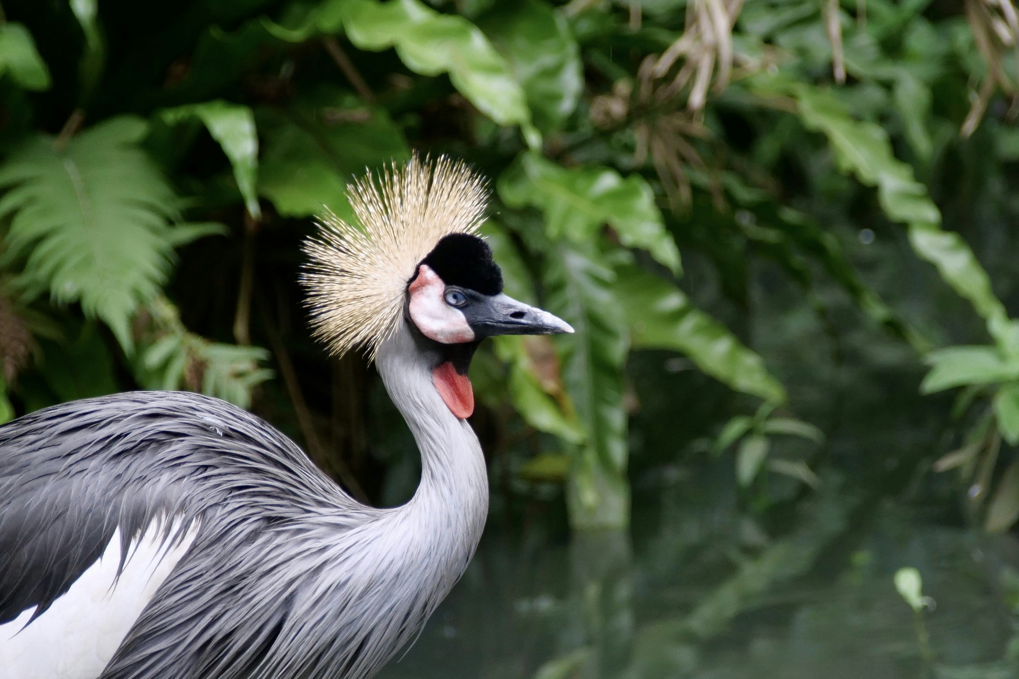 Photo by cocoshalalala