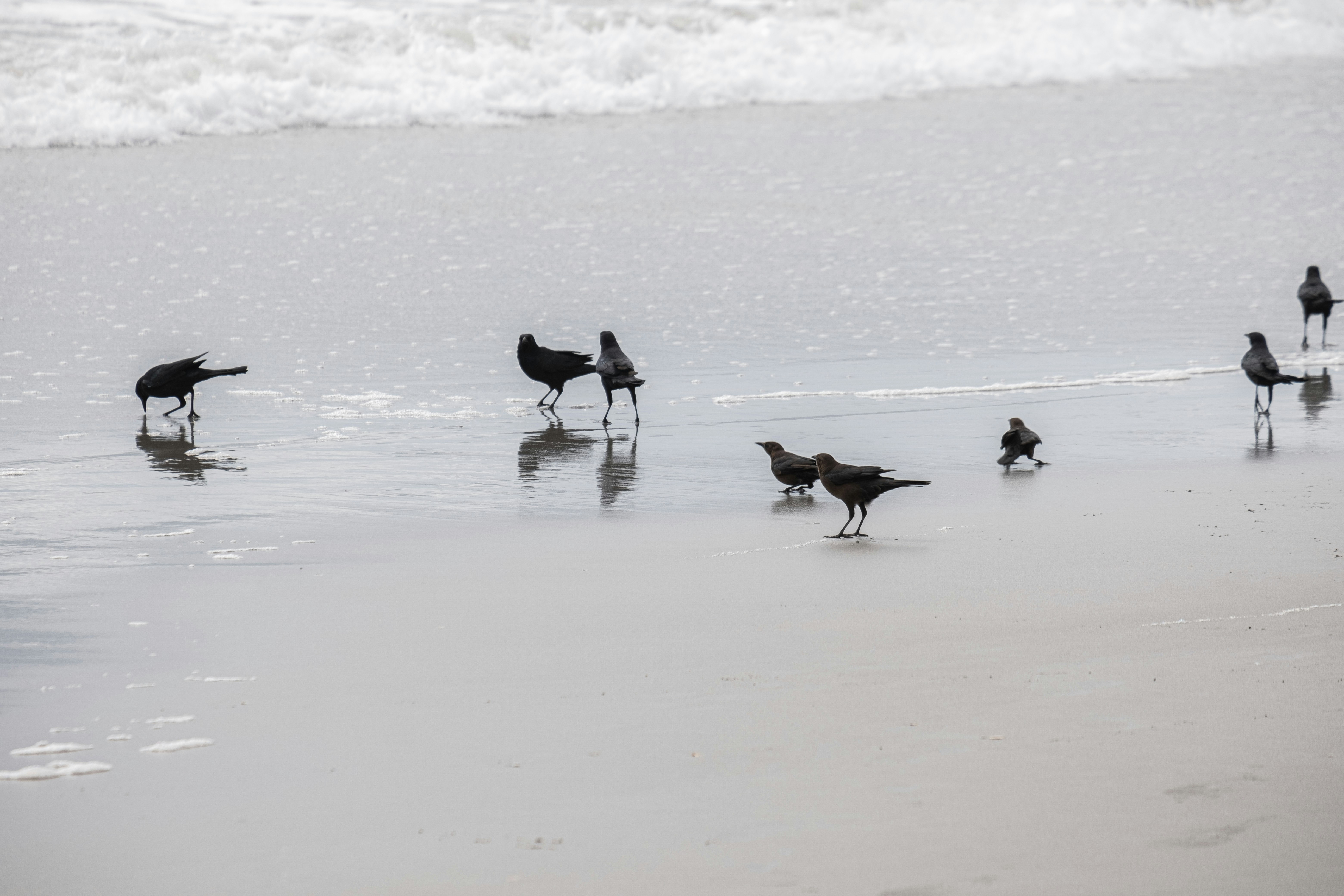 Photo by davidsfocus