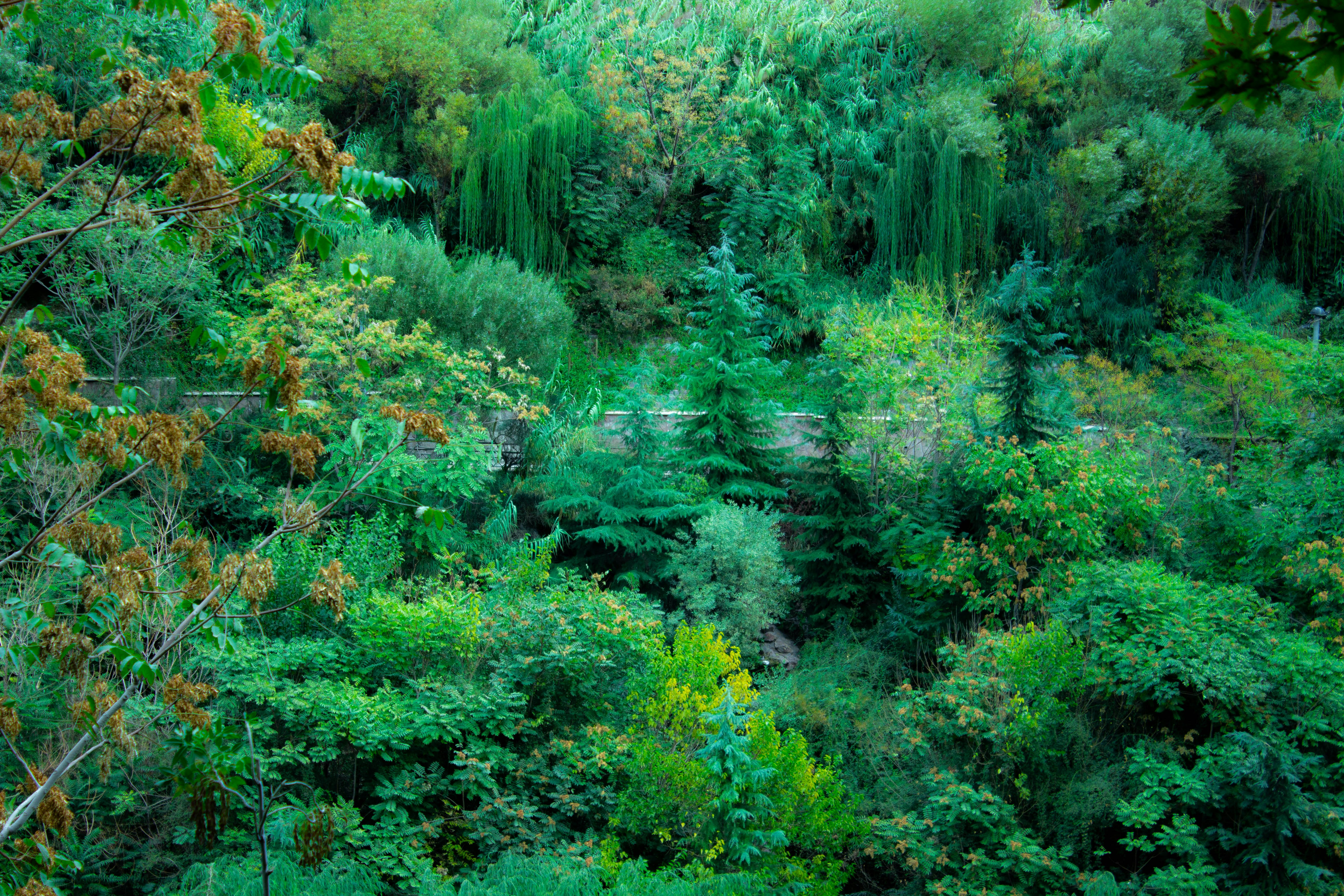 Photo by elham_frame