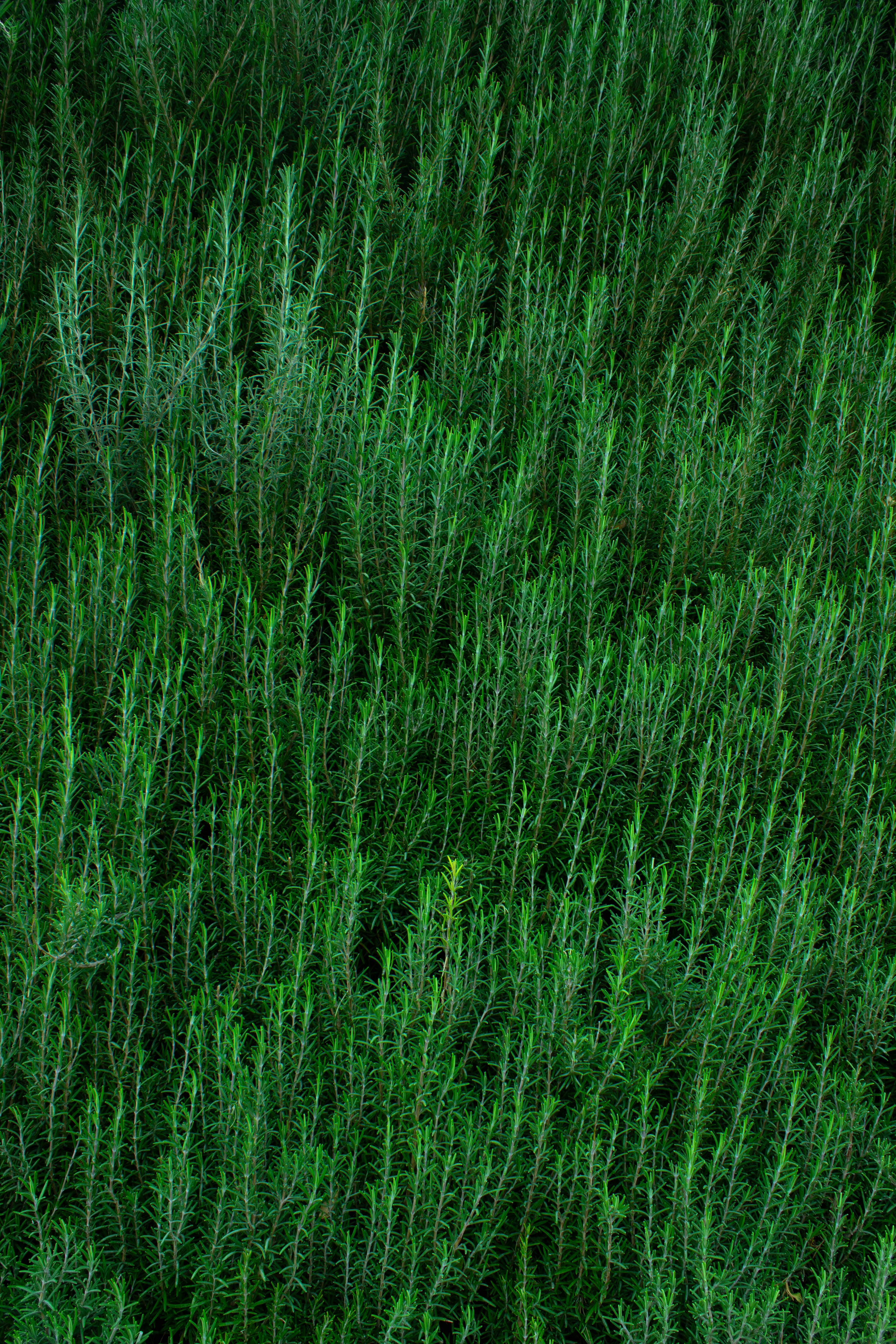 Photo by elham_frame