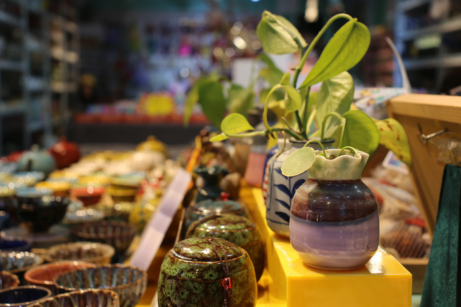 A close-up of premium ceramic pots filled with healthy, green plants displayed in the zaliavista online store, highlighting natural textures and colors.