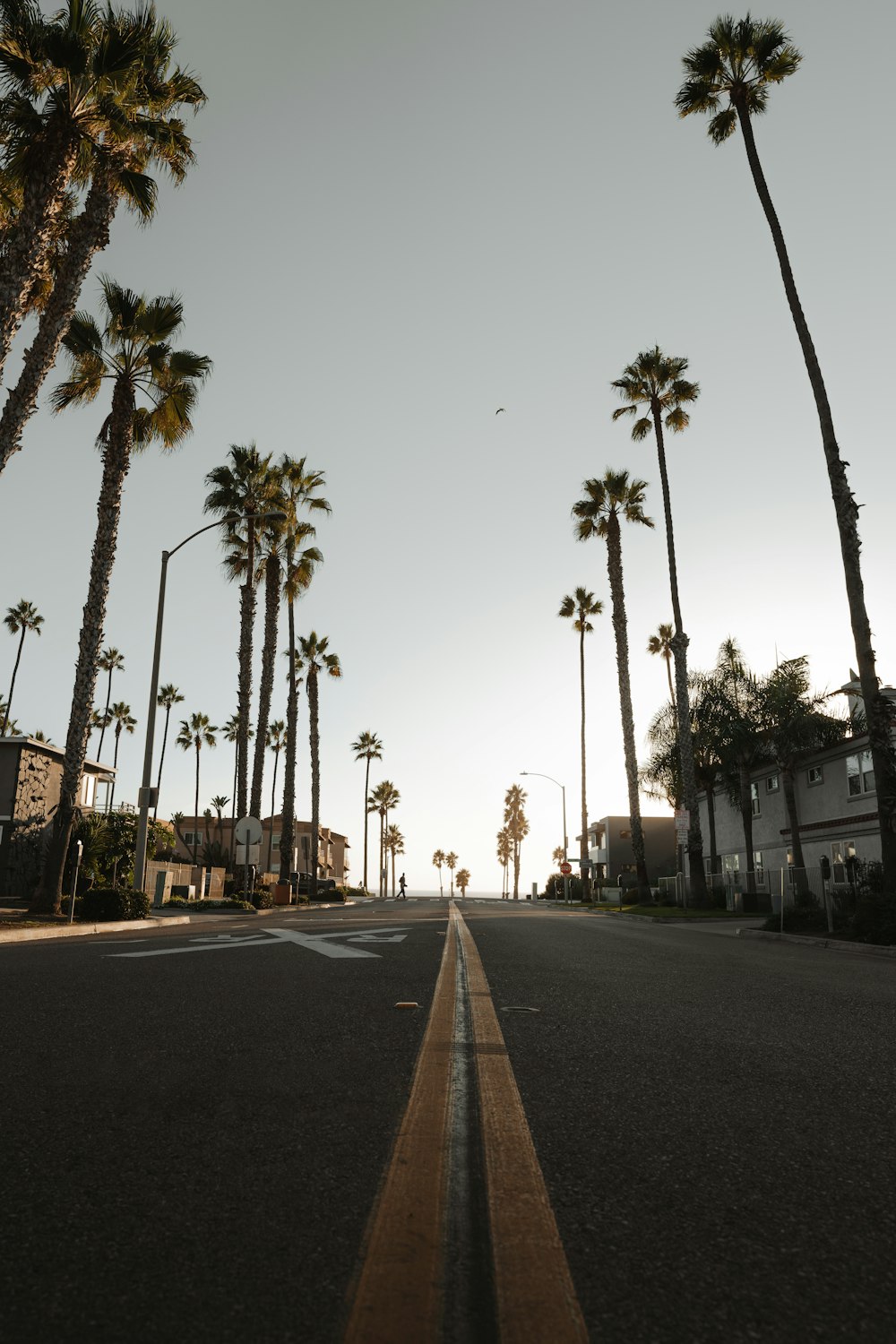 a street lined with palm trees and buildings