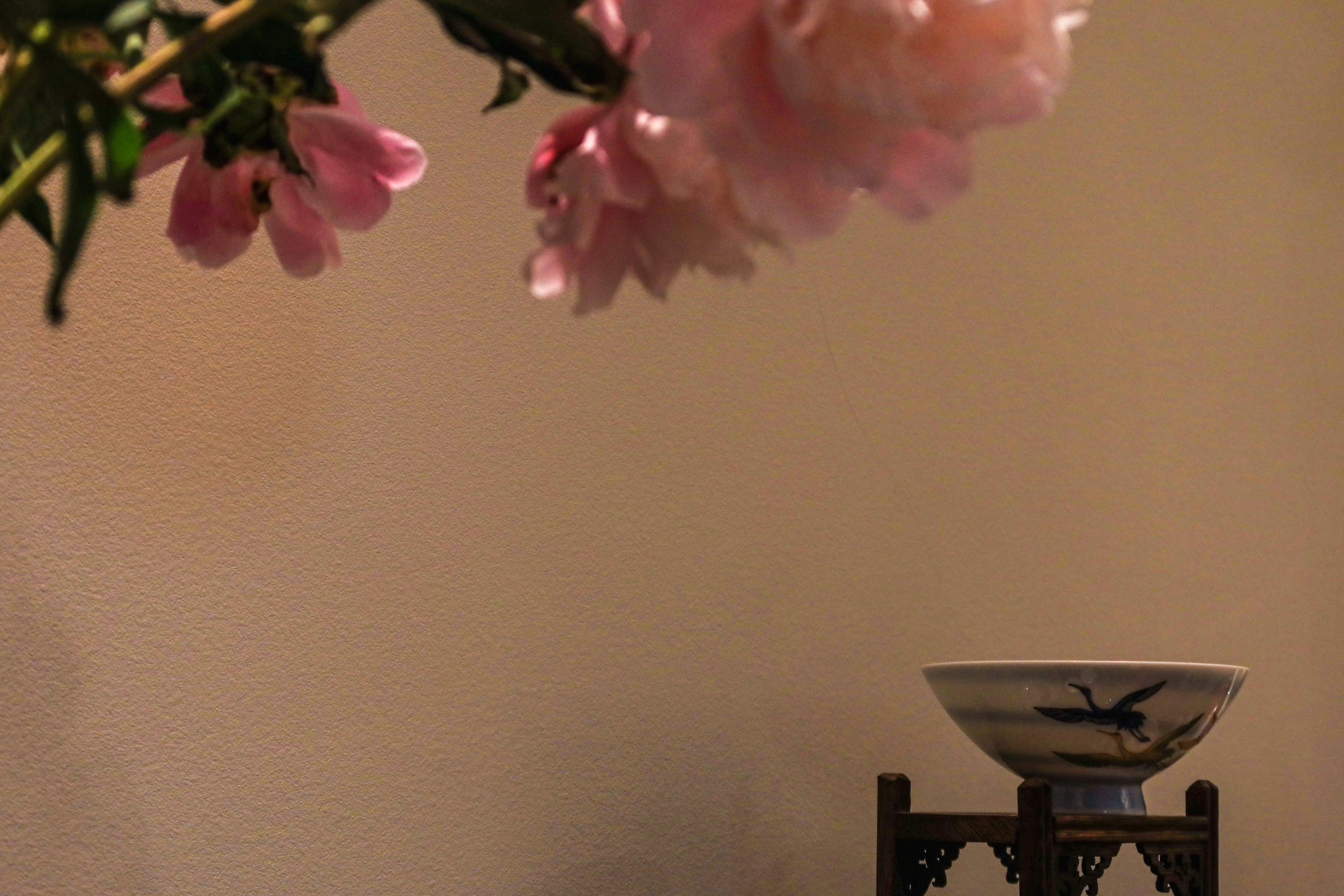 Composición Serenidad