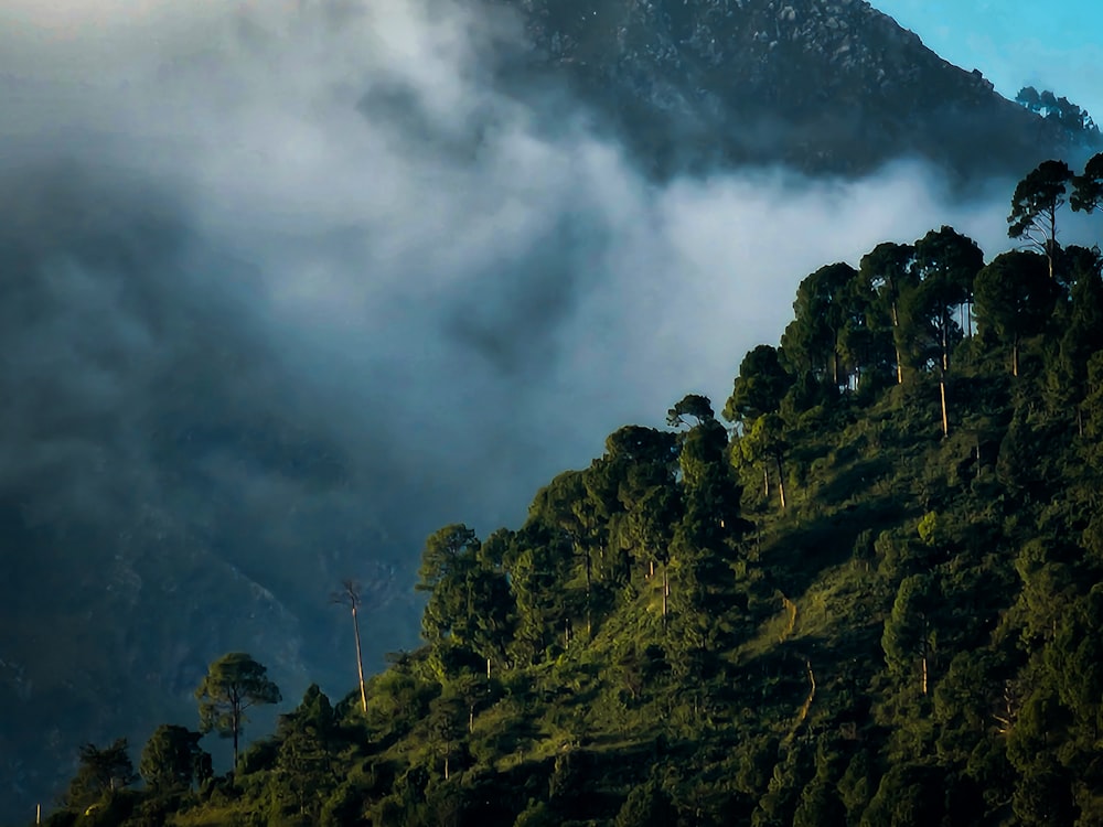 a mountain covered in fog and low lying clouds