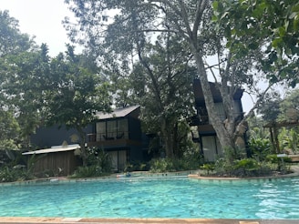 A serene outdoor setting featuring a swimming pool surrounded by lush greenery and tall trees. Two modern-style buildings with large windows are nestled amidst the trees, offering a tranquil getaway. The area is framed by vibrant plants and a clear, inviting pool reflecting the surrounding nature.