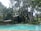 A serene outdoor setting featuring a swimming pool surrounded by lush greenery and tall trees. Two modern-style buildings with large windows are nestled amidst the trees, offering a tranquil getaway. The area is framed by vibrant plants and a clear, inviting pool reflecting the surrounding nature.