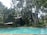 A serene outdoor setting featuring a swimming pool surrounded by lush greenery and tall trees. Two modern-style buildings with large windows are nestled amidst the trees, offering a tranquil getaway. The area is framed by vibrant plants and a clear, inviting pool reflecting the surrounding nature.