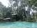 A serene outdoor setting featuring a swimming pool surrounded by lush greenery and tall trees. Two modern-style buildings with large windows are nestled amidst the trees, offering a tranquil getaway. The area is framed by vibrant plants and a clear, inviting pool reflecting the surrounding nature.