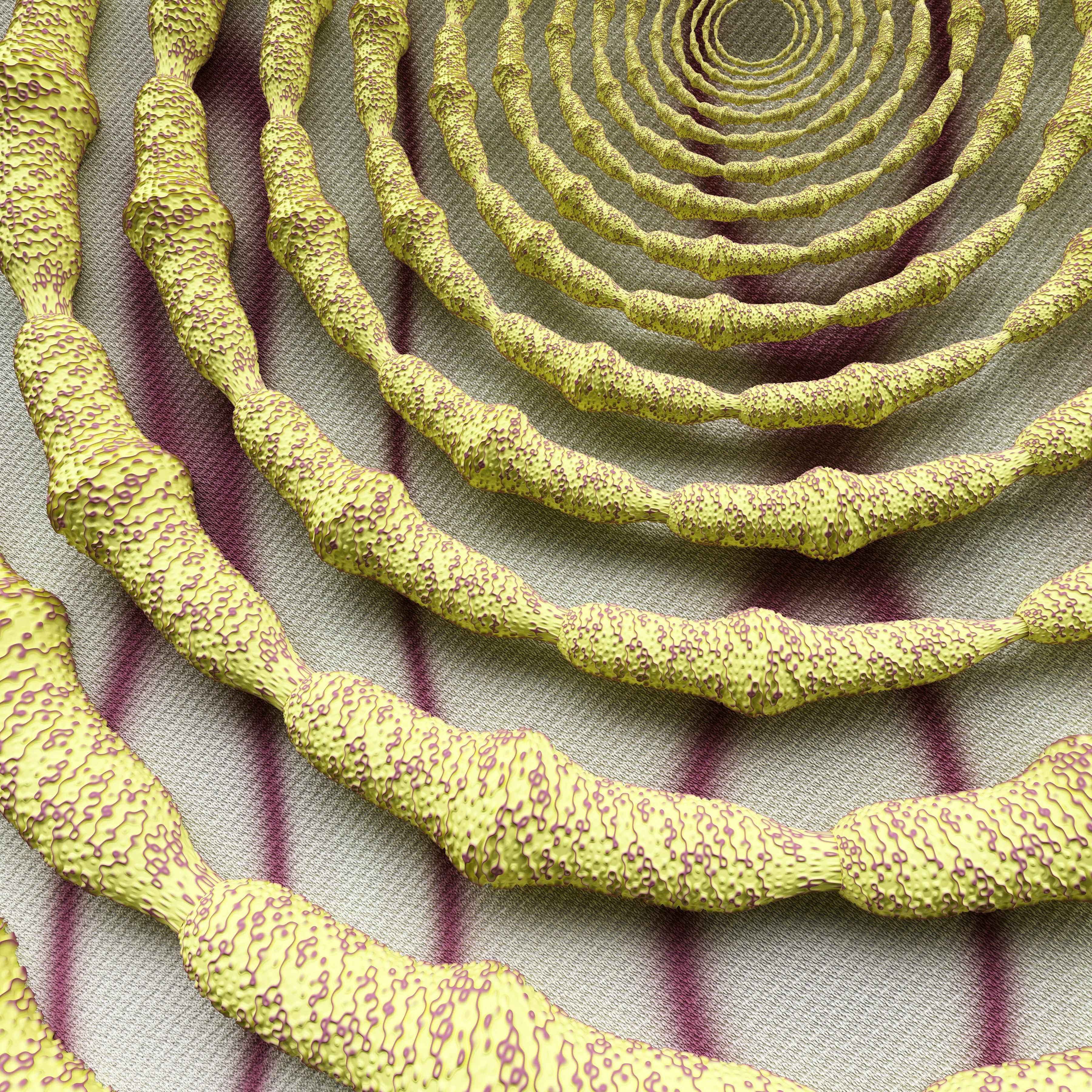 Photo by rick_rothenberg