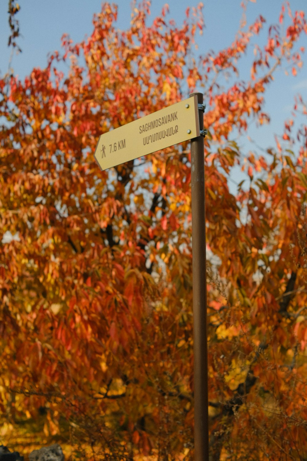a street sign in front of a tree with orange leaves