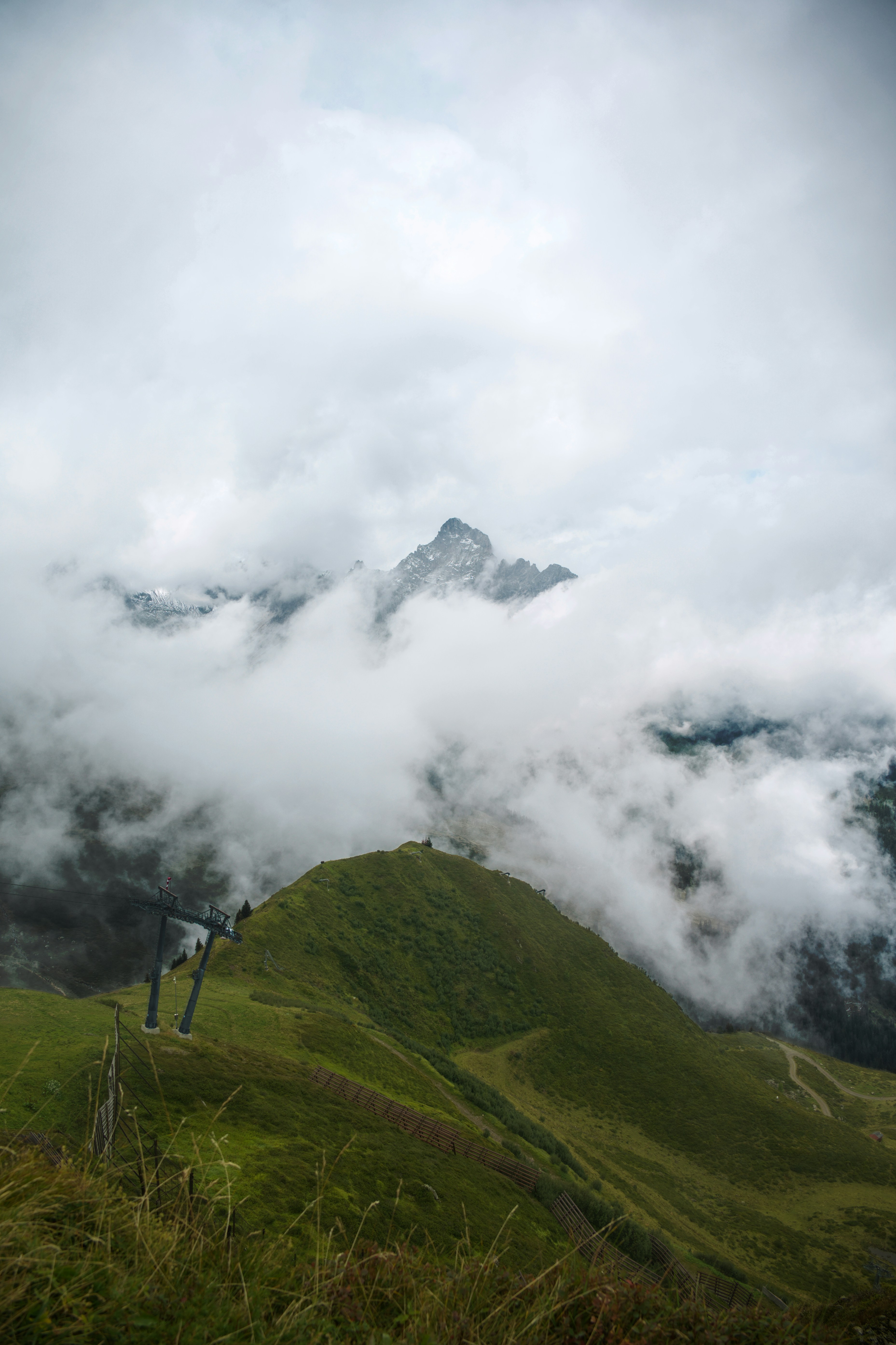 Photo by job_vermeulen