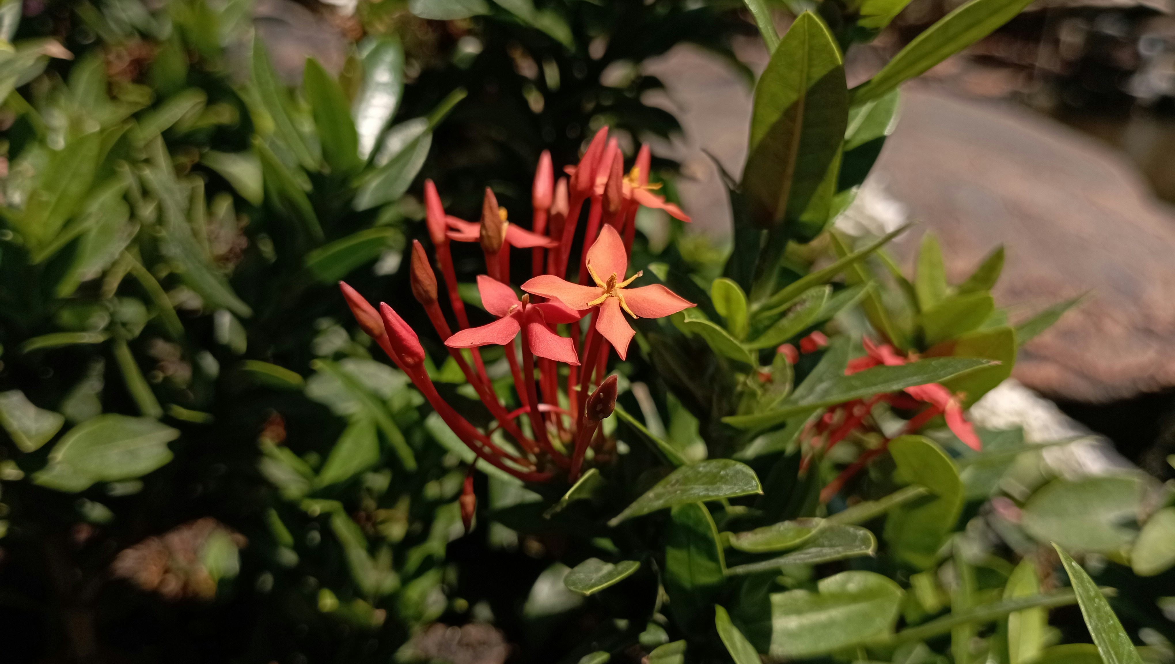 Photo by mahgriby1984