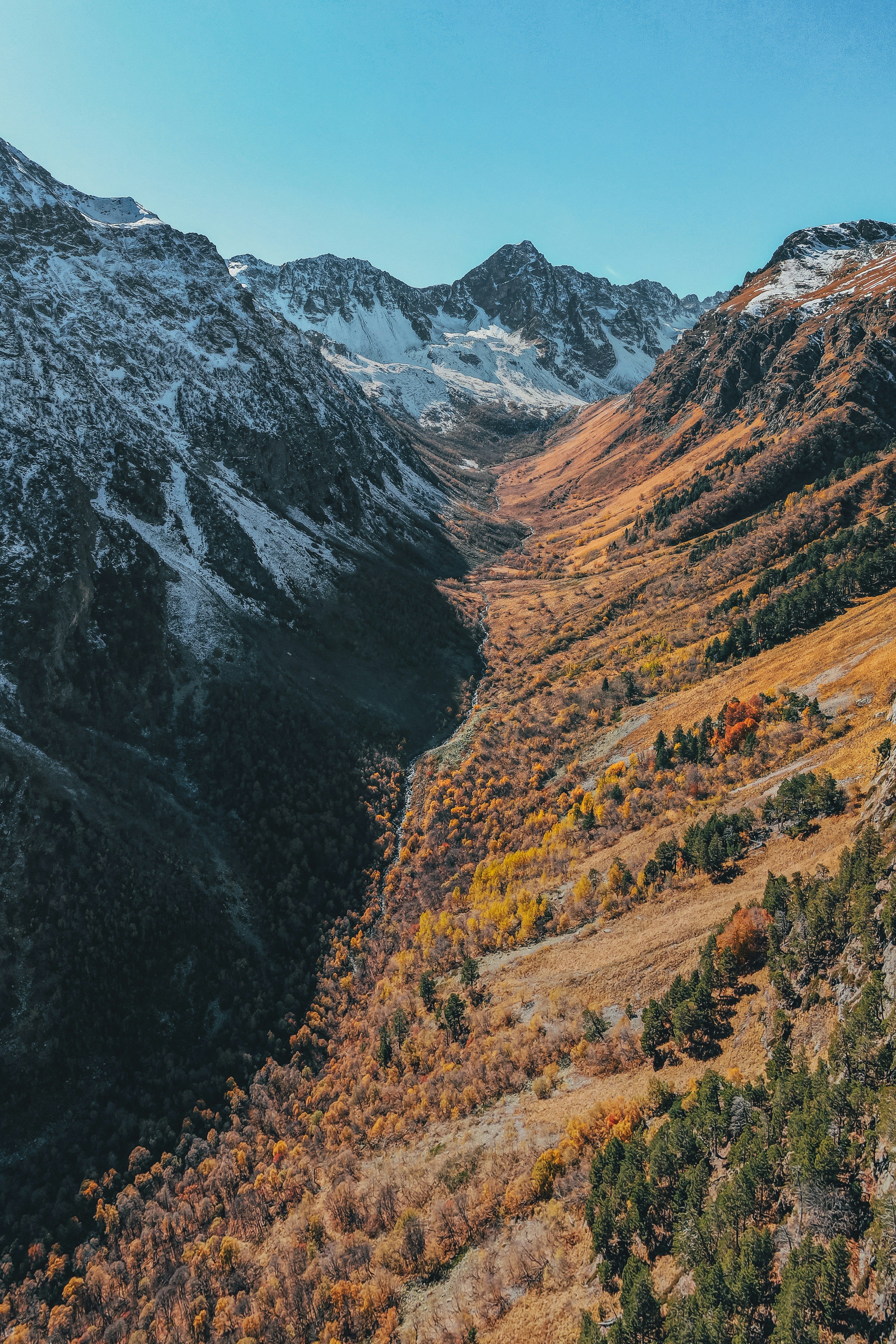 Photo by panfilov_jpg