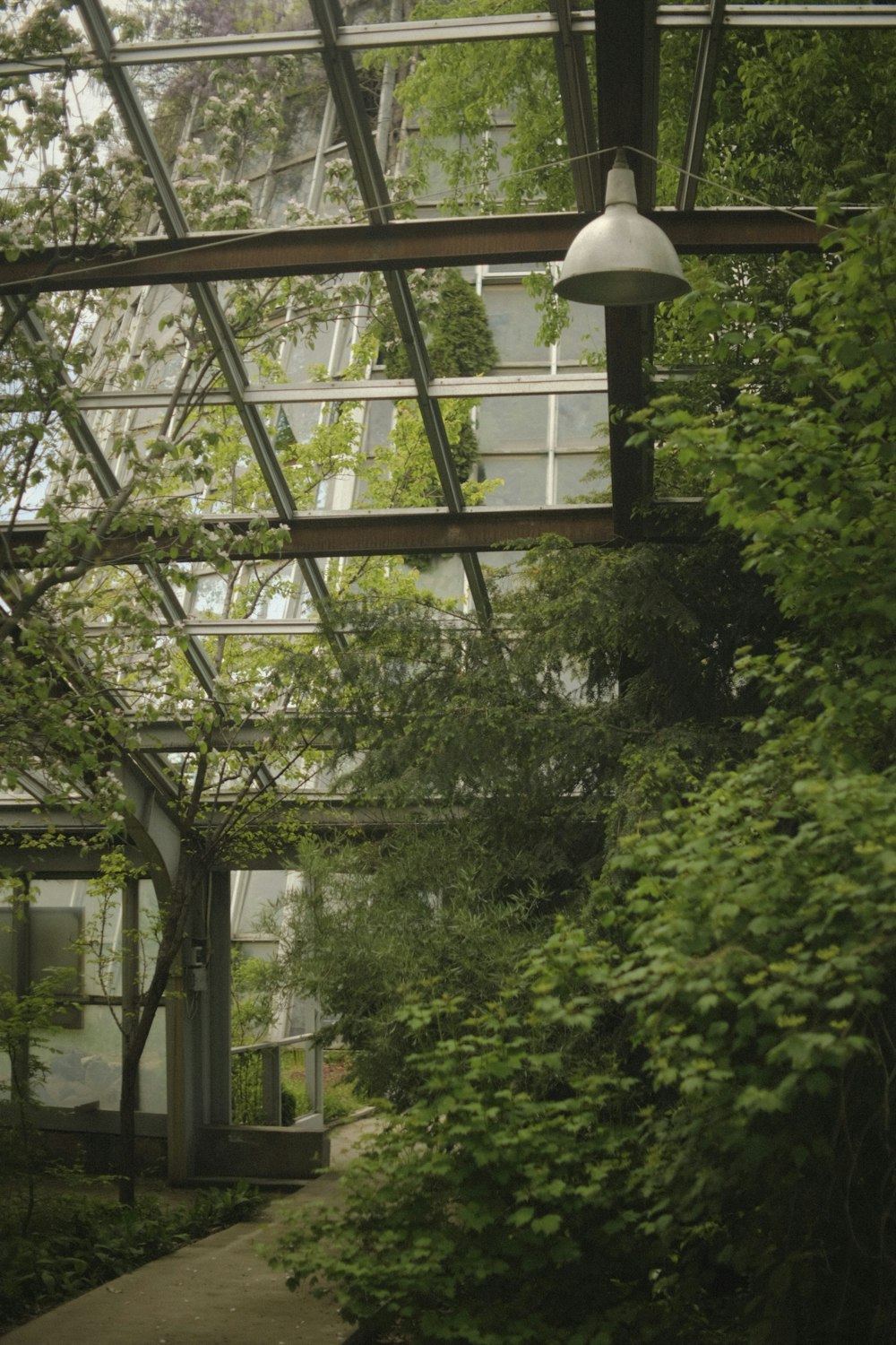 a view of a building through a glass roof