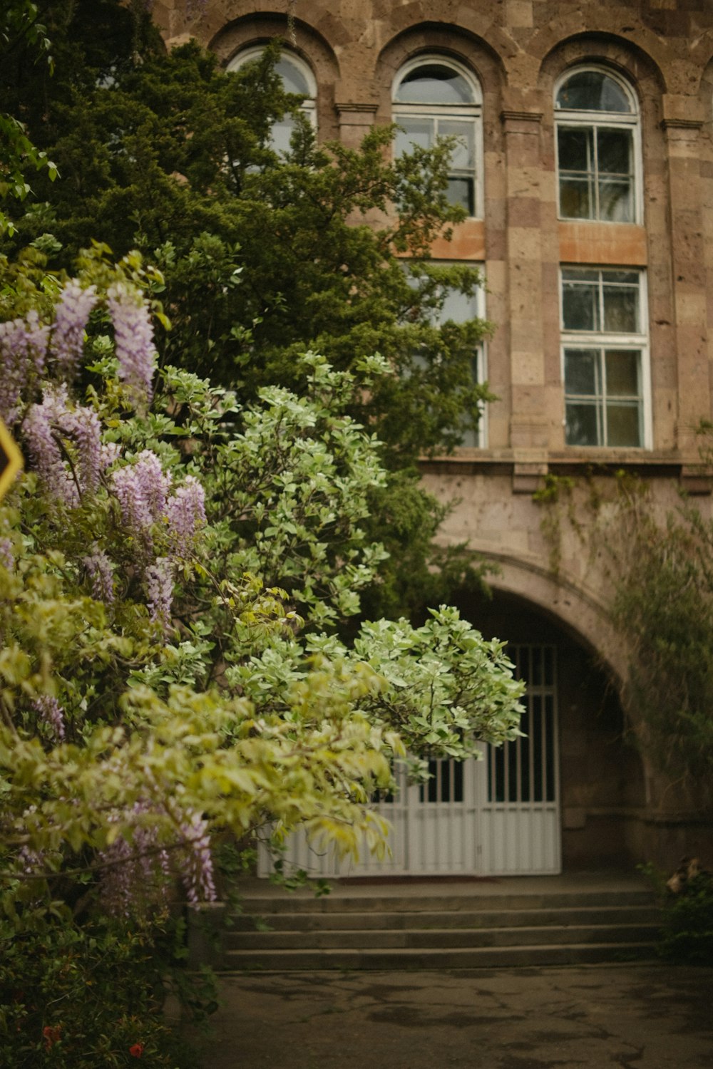 a building with a bunch of trees and bushes in front of it