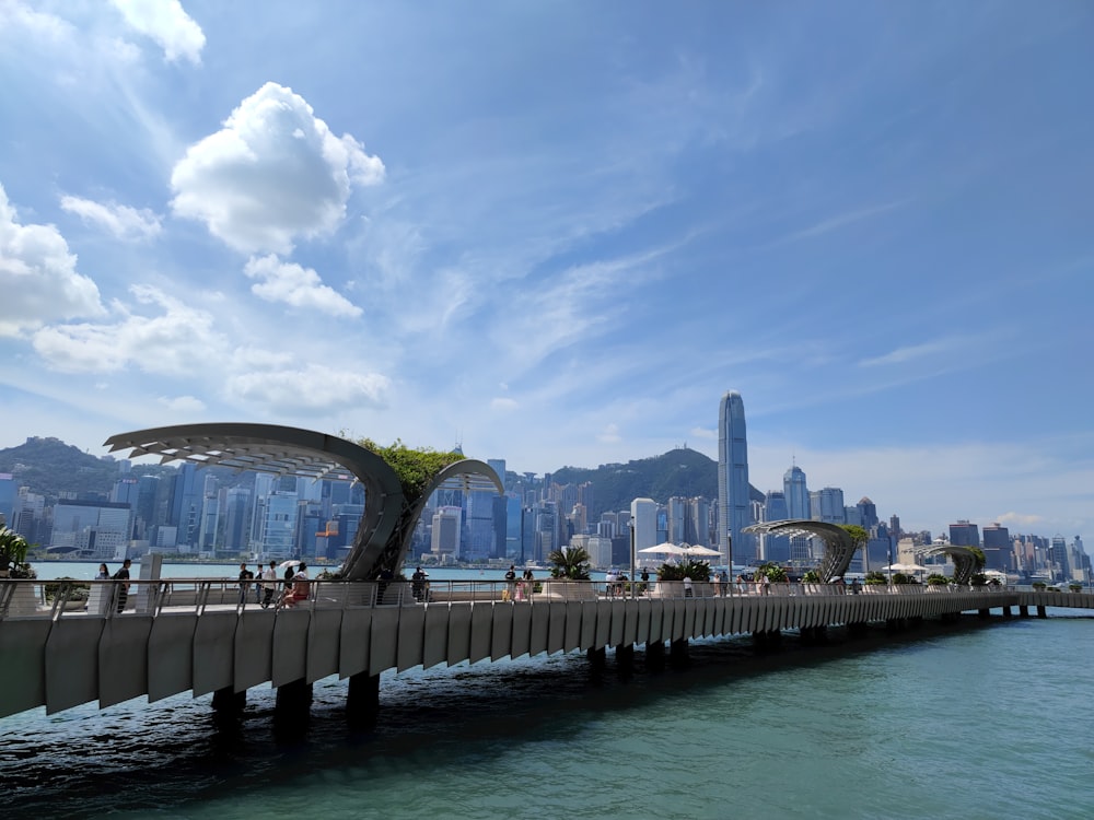 a long pier with a city skyline in the background