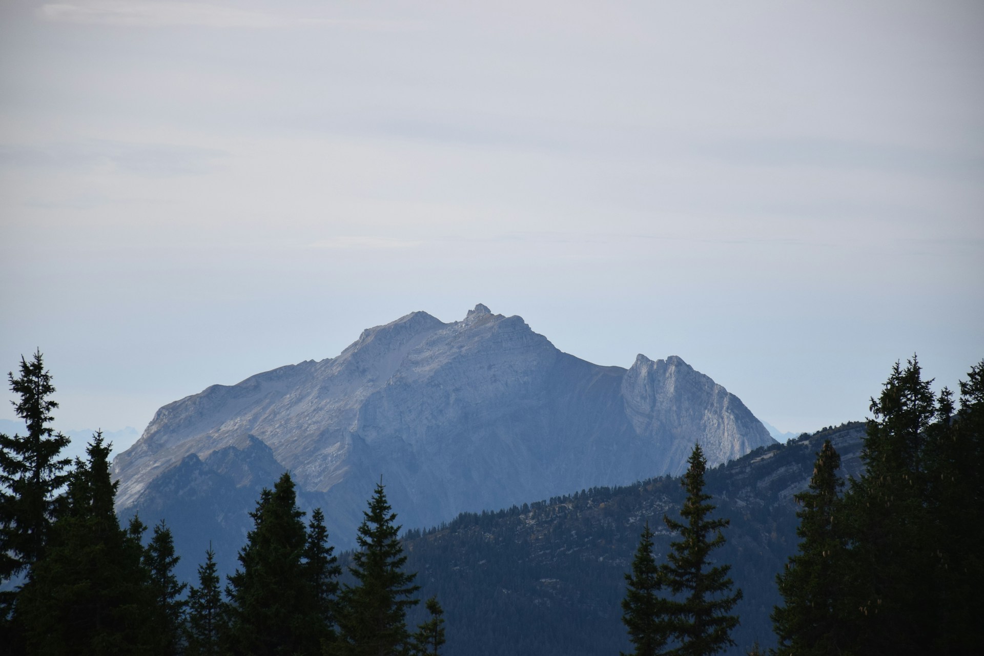 a view of a mountain with trees in the foreground