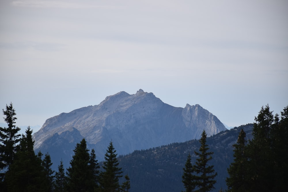 a view of a mountain with trees in the foreground