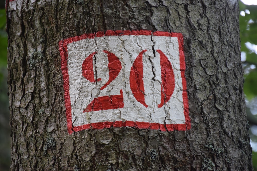 a close up of a tree with a sign on it