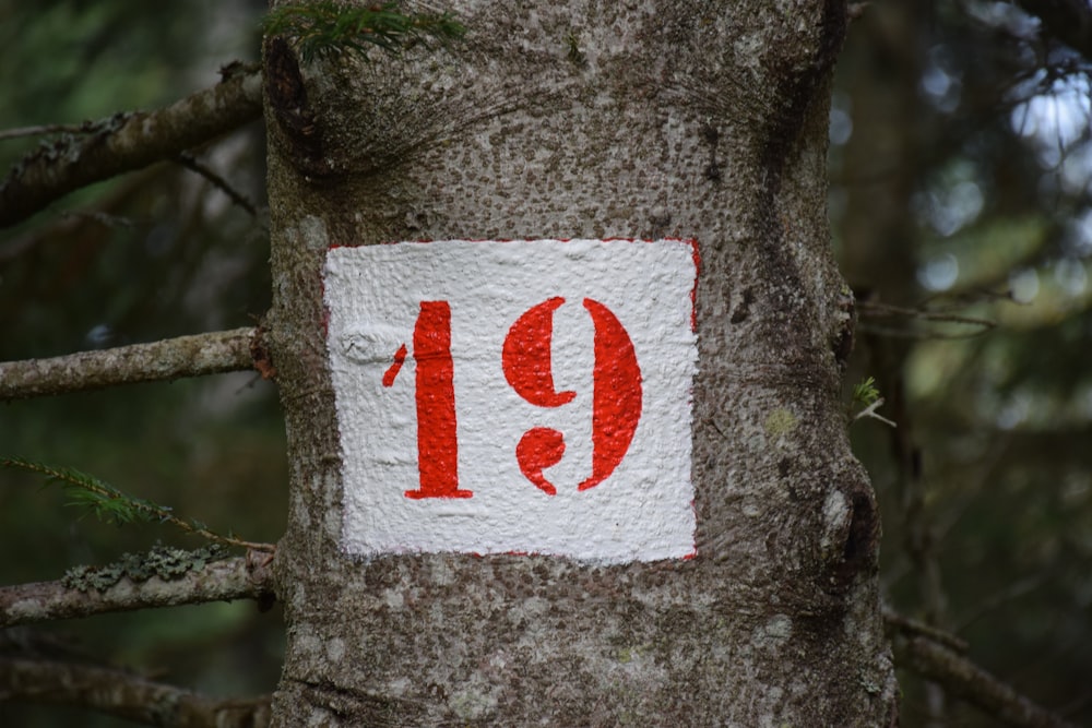 a red and white sign on a tree in the woods