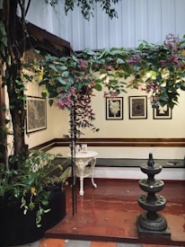 A cozy indoor space features a small fountain and a decorative white table set against a background of framed pictures on a beige wall. Lush greenery, including vibrant pink and green leaves, drapes artfully from the ceiling, adding a touch of nature. The floor is a polished reddish-brown, complementing the natural elements.