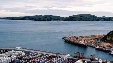A coastal port scene features a large body of water with several hills in the background. In the foreground, numerous shipping containers are stacked at the dock. There are cranes and machinery near the water's edge, along with a ship loaded with logs. The overall setting is industrial, indicating an active shipping hub.