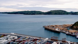 A coastal port scene features a large body of water with several hills in the background. In the foreground, numerous shipping containers are stacked at the dock. There are cranes and machinery near the water's edge, along with a ship loaded with logs. The overall setting is industrial, indicating an active shipping hub.