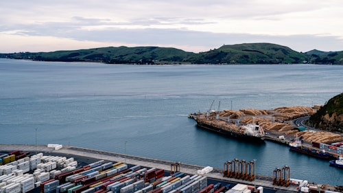 A coastal port scene features a large body of water with several hills in the background. In the foreground, numerous shipping containers are stacked at the dock. There are cranes and machinery near the water's edge, along with a ship loaded with logs. The overall setting is industrial, indicating an active shipping hub.