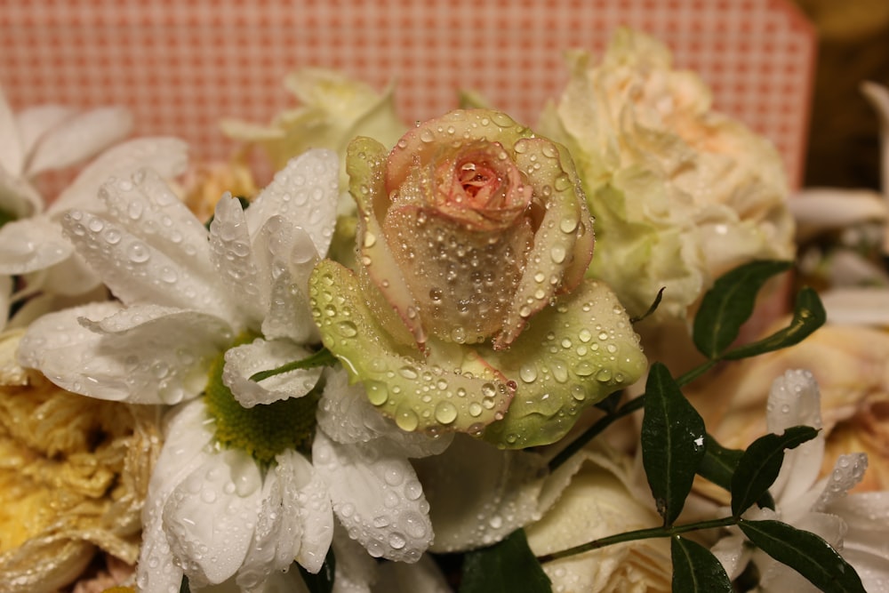 un bouquet de fleurs avec des gouttelettes d’eau dessus