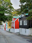 Neighborhood street scene showing peaceful homes and quiet dogs