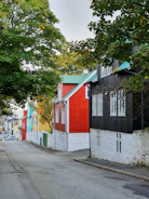 Neighborhood street scene showing peaceful homes and quiet dogs