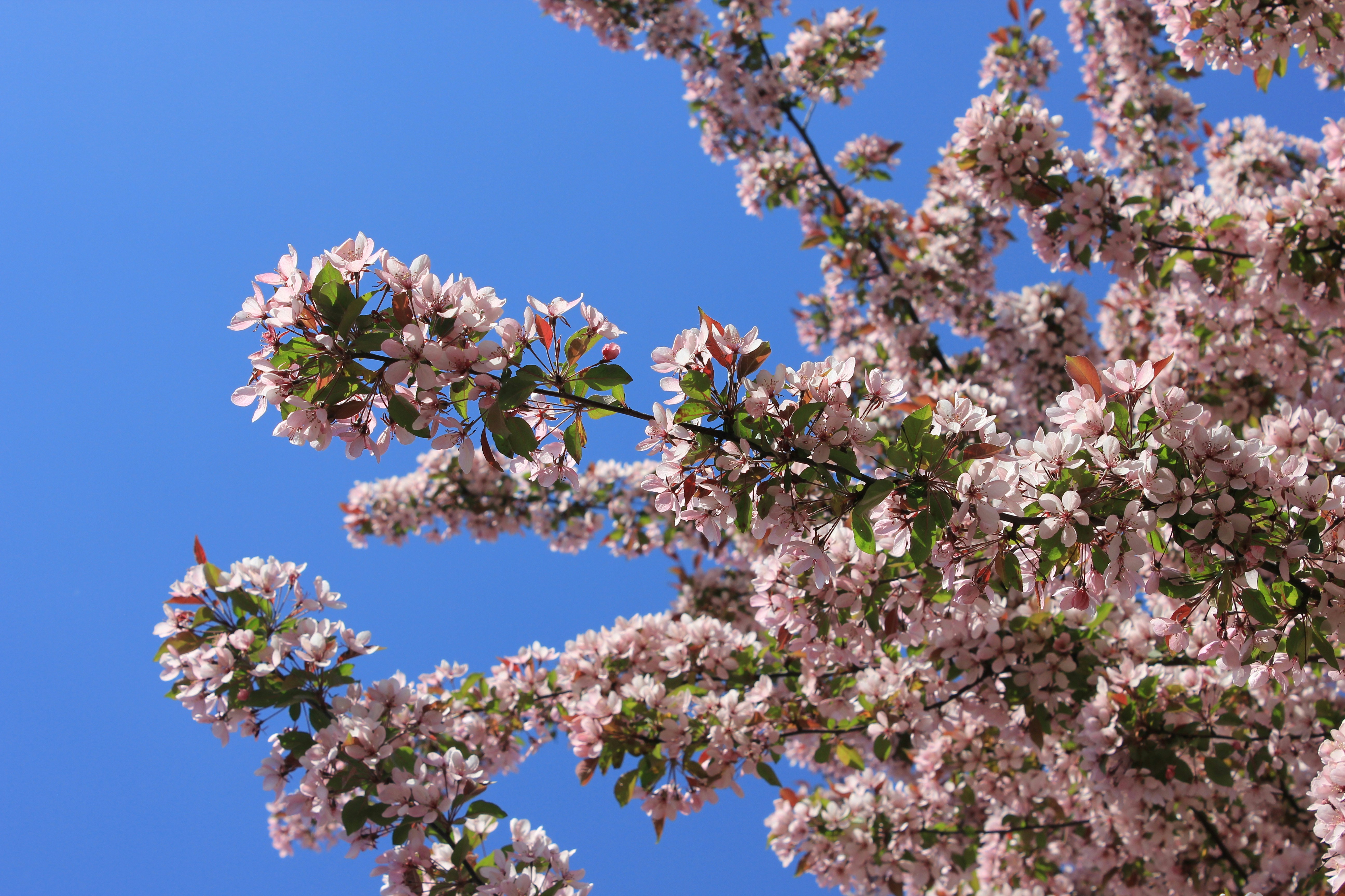 Photo by dareartworks