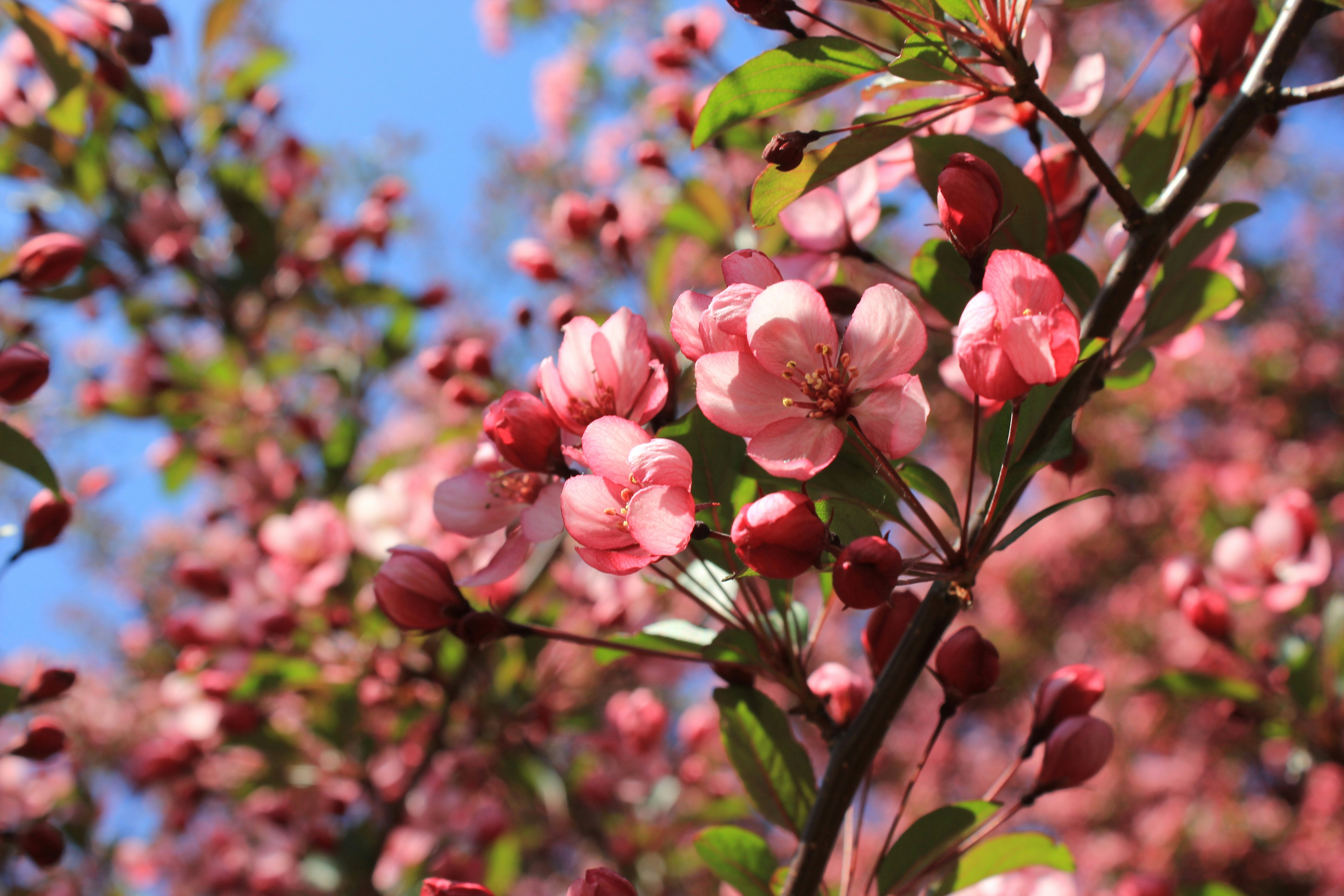 Photo by dareartworks