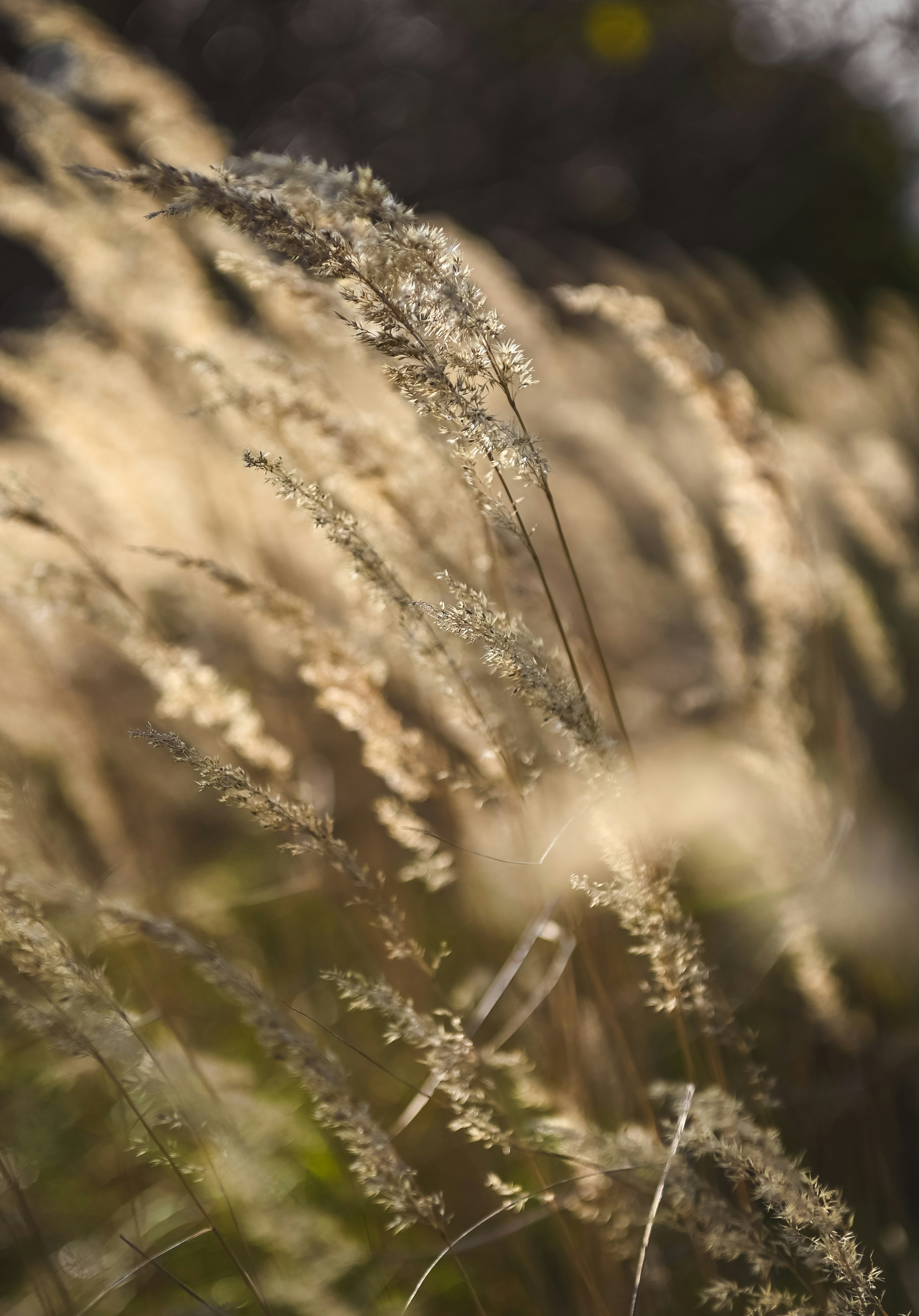 Photo by alexandra_p_d