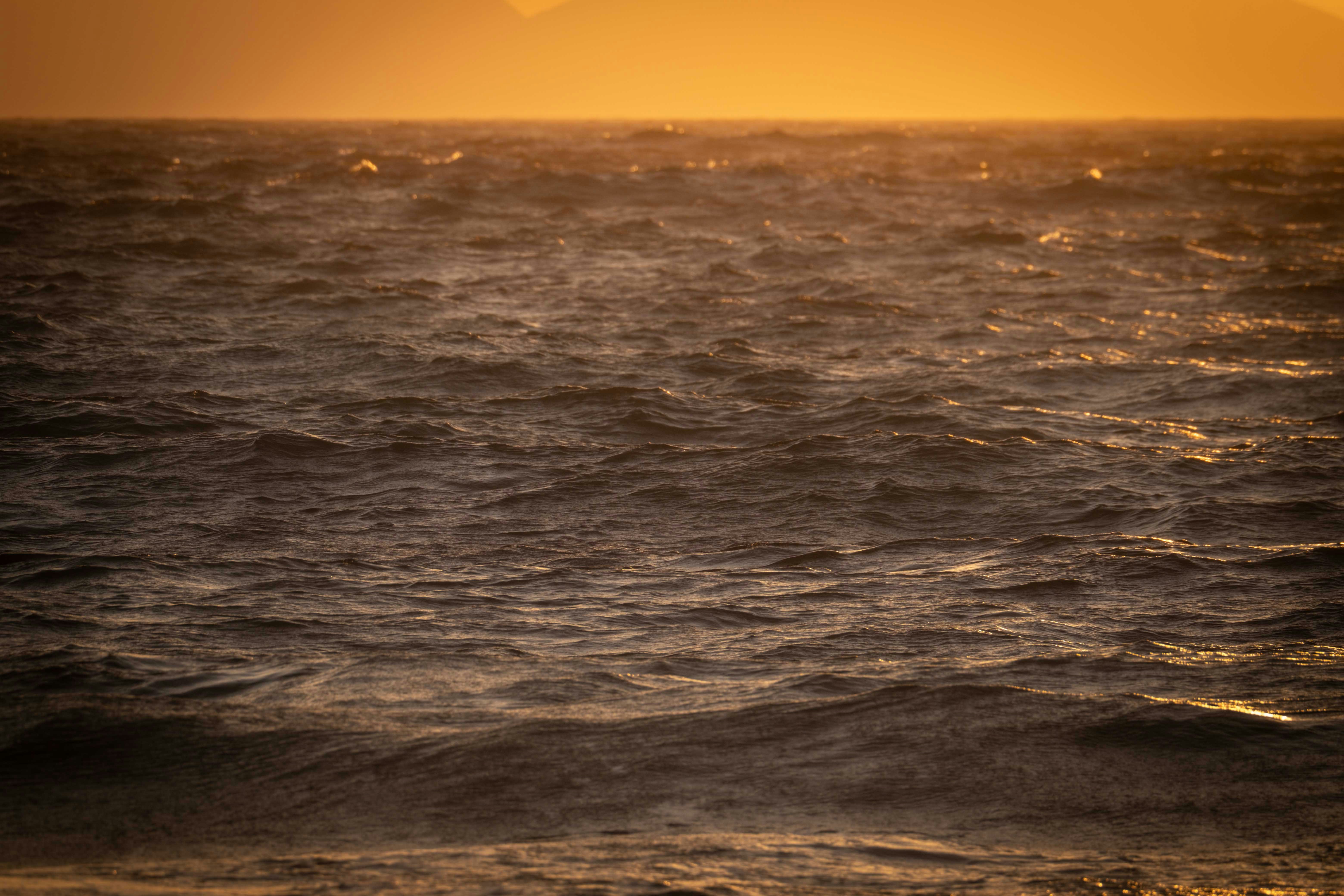 Photo by francesco_ungaro