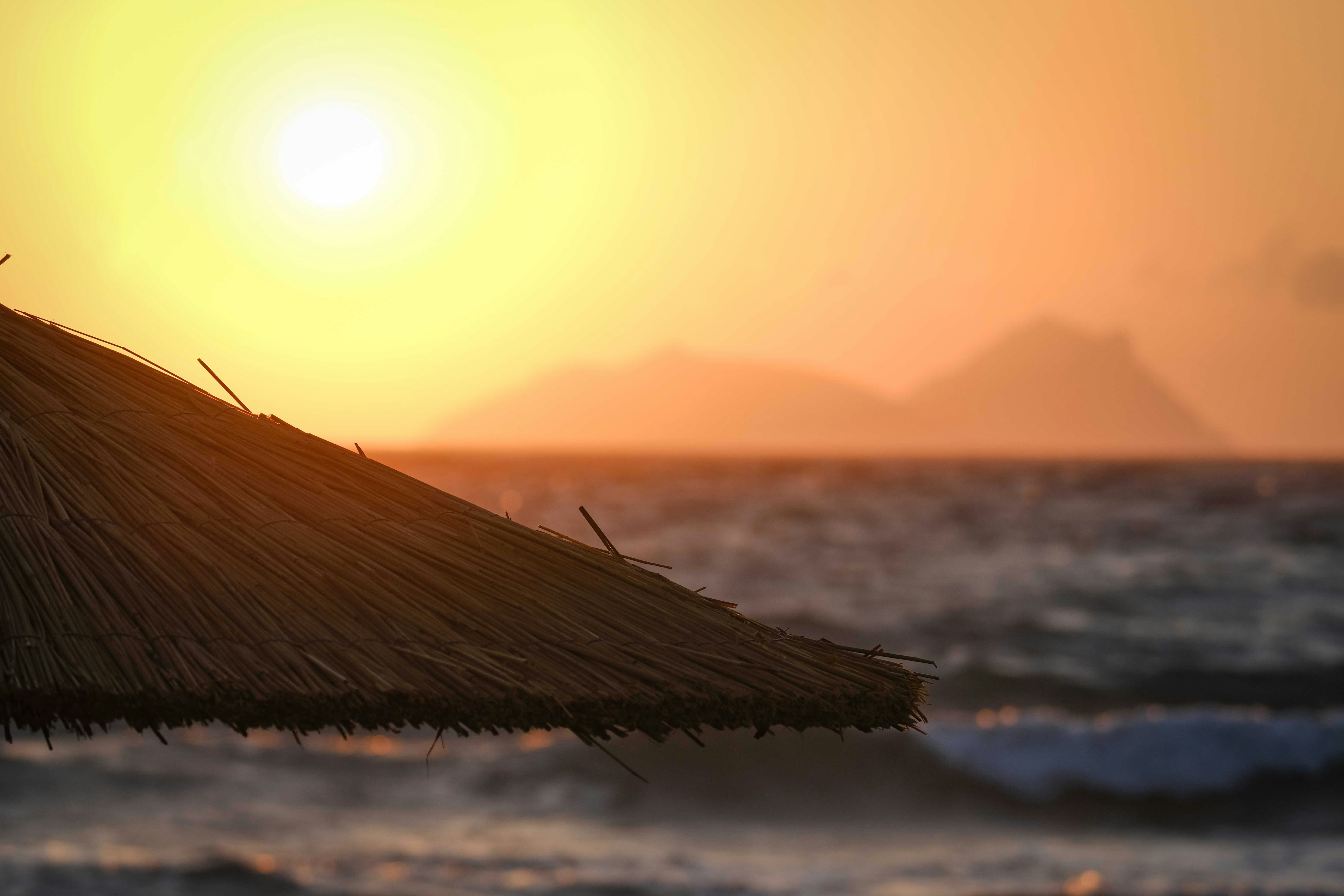 Photo by francesco_ungaro