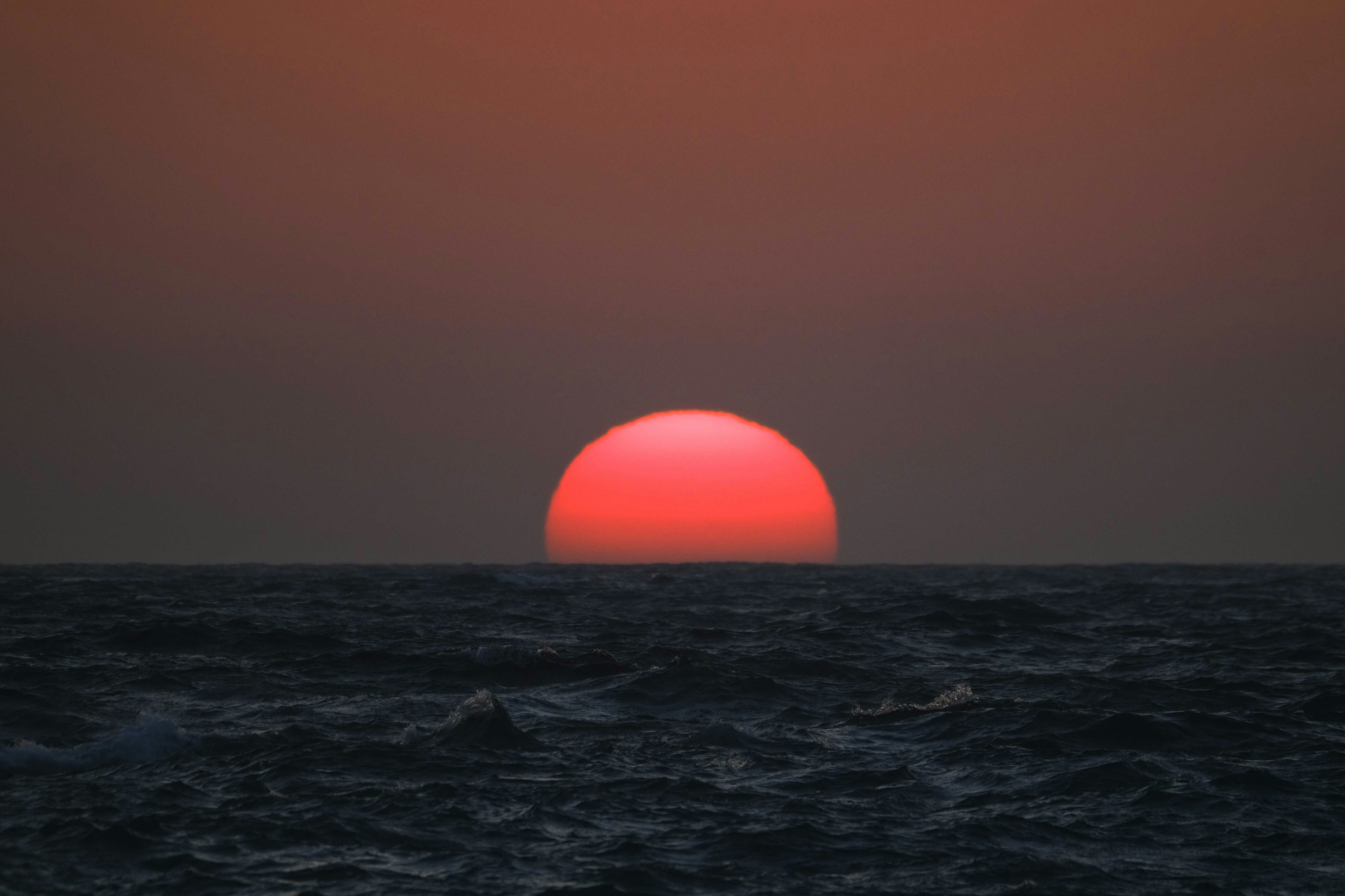 Photo by francesco_ungaro