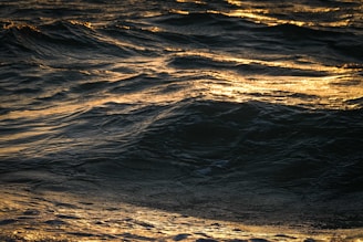 Waves of the ocean are illuminated by a warm golden light, creating a shimmering effect on the surface of the water. The crests and troughs of the waves are clearly visible, with some areas appearing darker where the light does not reach.