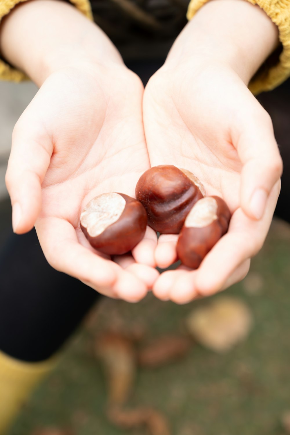 a person holding some nuts in their hands